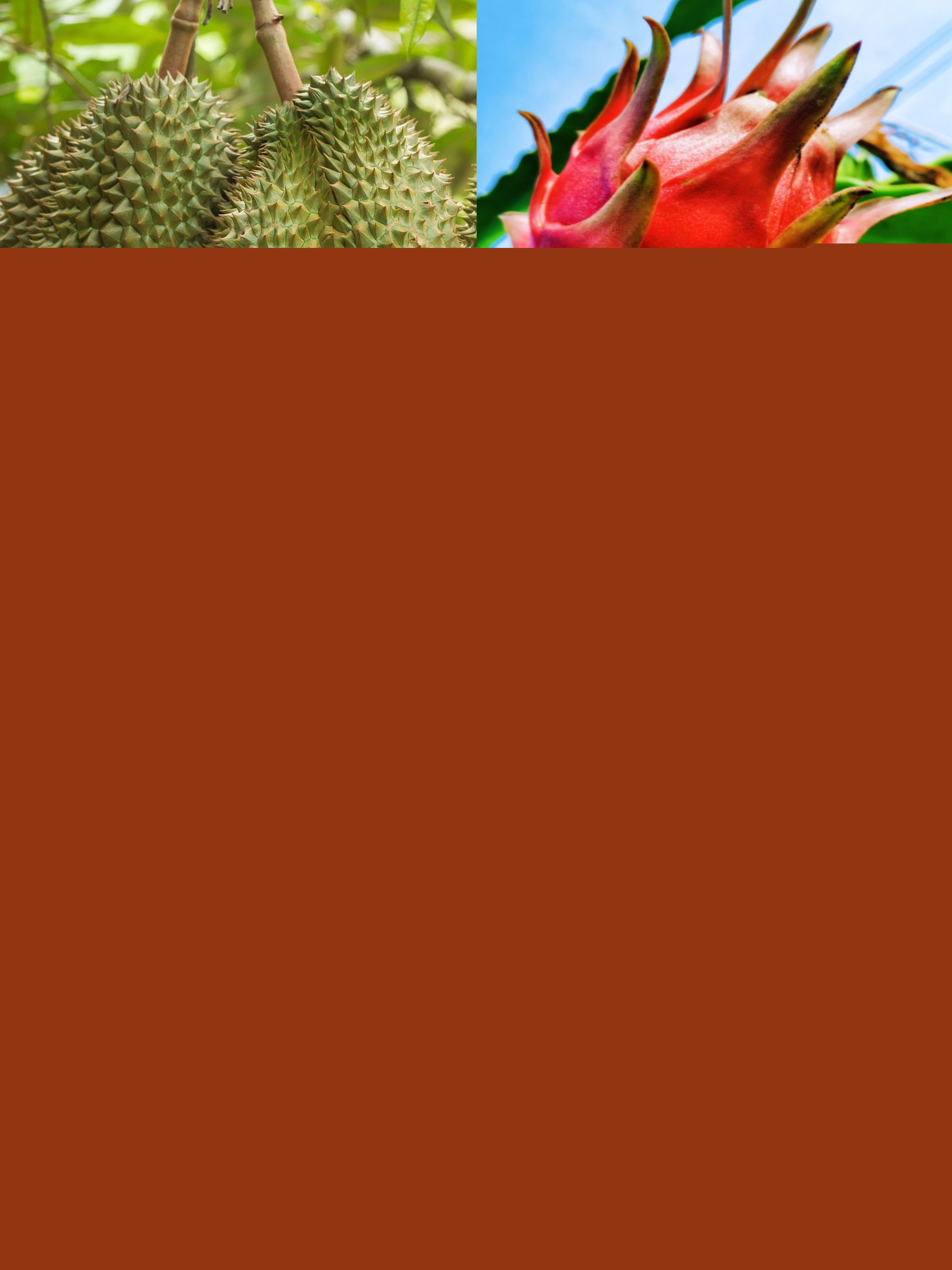 熱帶農(nóng)業(yè)產(chǎn)品 · 熱帶水果